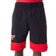 Neu Era NBA New Chicago Bulls Farbblock