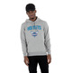 Neu Era NBA Charlotte Hornets Team Logo Regular Hoody