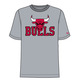 Neue Era NBA23 Chicago Bulls zu SS Tee