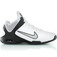 Nike Air All Pro IV (100 / blanco / gris / nego)