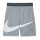 Nike Dri-Fit Jungen Basketball Shorts "Gray"