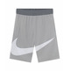 Nike Dri-Fit Jungen Basketball Shorts "Gray"