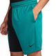 Nike Dri-FIT Herren Basketball Shorts "Spruce Black"