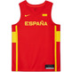 Nike Shirt Spanish Basque foot I