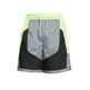 Nike Throwback Herren Basketball Shorts "Grey"