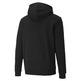 Puma verstärkt Hoodie FL