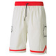 Puma Basketball Franchise Woven Short "Vaporus Gray"