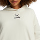 Puma besser Hoodie FL