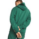 Puma Stadtzentrum Graphic Hoodie TR "Vine"