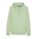 Puma ESS+ 2 Col Small Logo Hoodie TR "Pure Green"