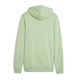 Puma ESS+ 2 Col Small Logo Hoodie TR "Pure Green"