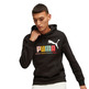 Puma ESS+ Multicolor Hoodie FL "Schwarz"