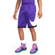 Kurz Nike Dri-FIT Herren Basketball "Court Purple"