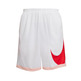 Kurz Nike Dri-FIT Herren Basketball "Coral"