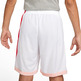 Kurz Nike Dri-FIT Herren Basketball "Coral"