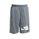 Kurz Niño Nike Dri-FIT "Grey"