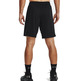 UA Herren Baseline 10" Shorts "Black"