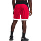 UA Herren Baseline 10" Shorts "Red"