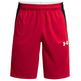 UA Herren Baseline 10" Shorts "Red"