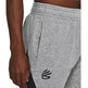 UA Herren Curry Splash Fleece Shorts "Mod Gray"