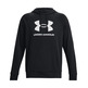 UA Herren Rival Fleece Logo Hoodie "Black"