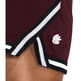 Unter Armour Herren Curry Mesh Shorts "Dark Marron"